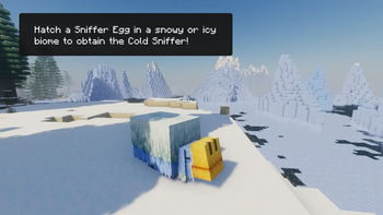 Cold Sniffer