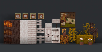 showcase