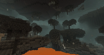 Ash Forest