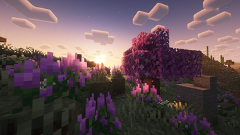 Rocky Meadow
