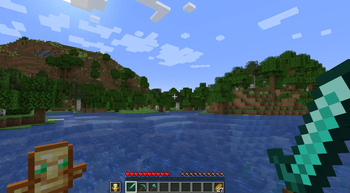 With Resource Pack
