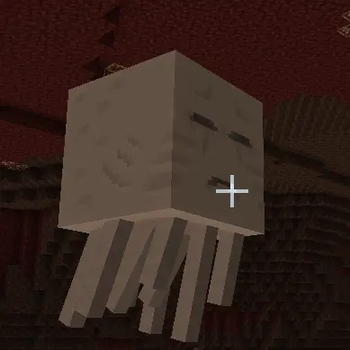 Ghast in Nether