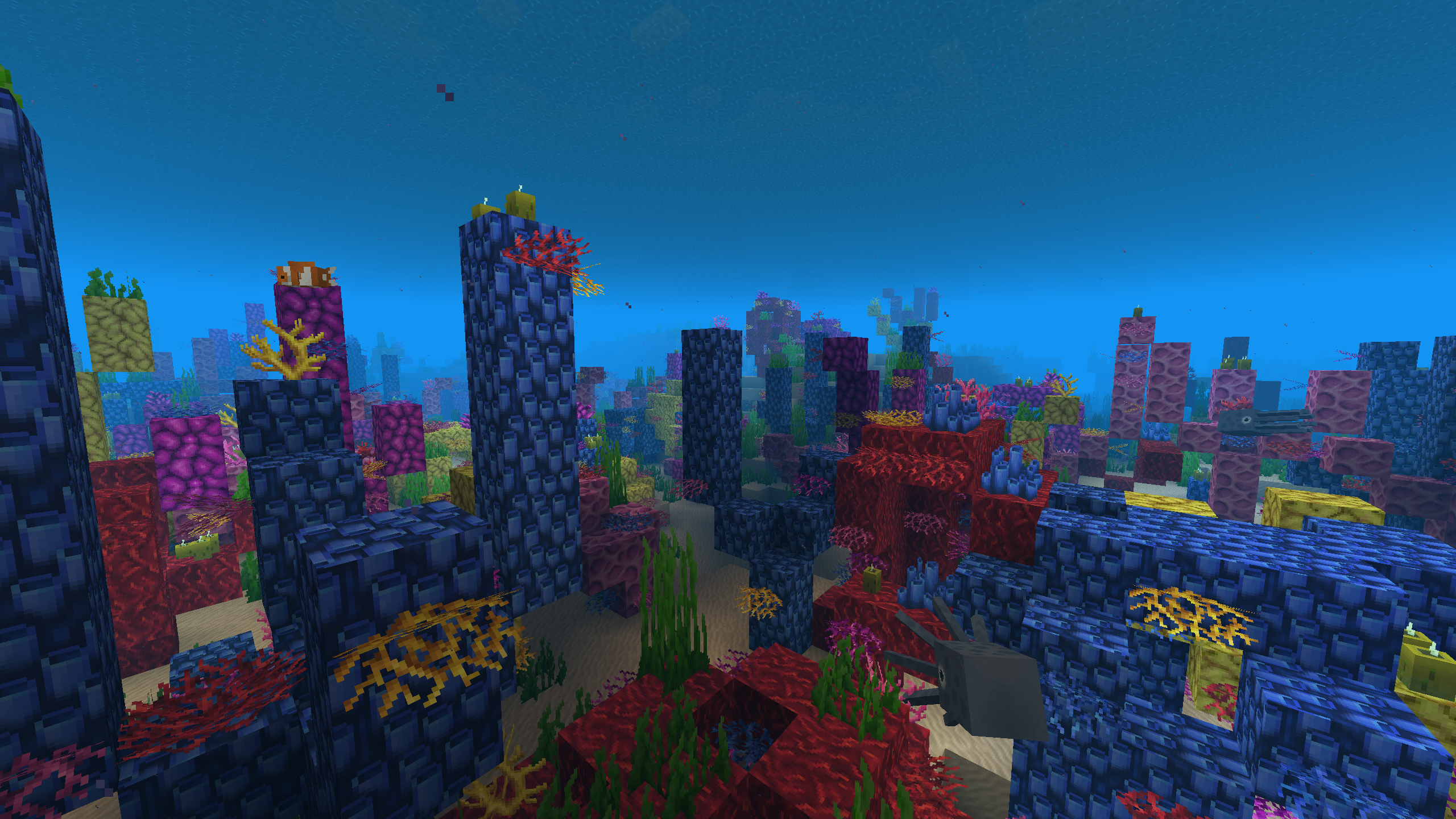 Coral Reef