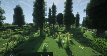 TFC's diverse forests.