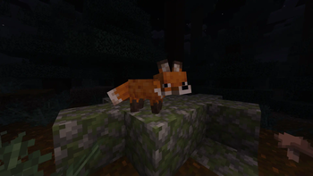 Fox1