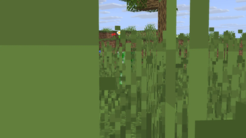 Vanilla grass