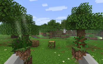 Oak Forest