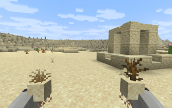 Desert
