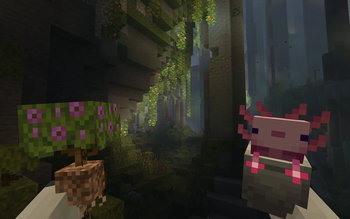 Lush Cave