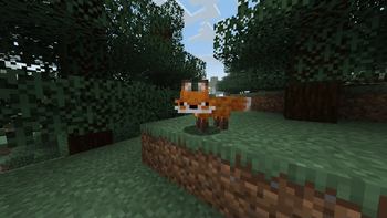 Fox4