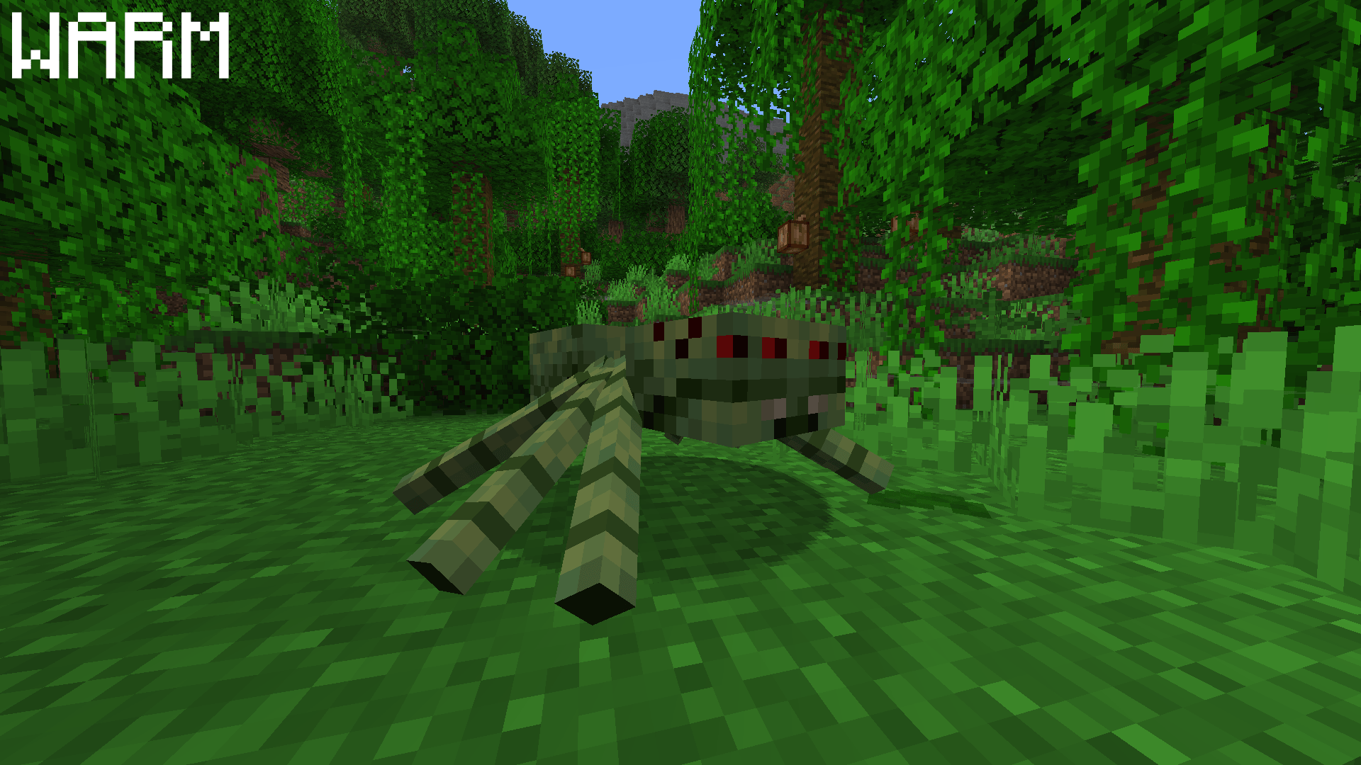 Spiders