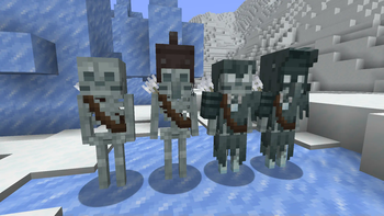 Snowy Skeletons and Strays