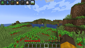 Beetroot World