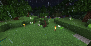 Extra variant v8.4