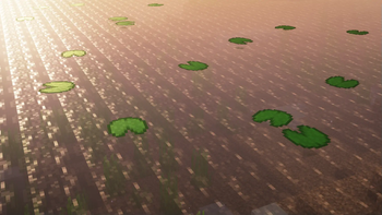 Lilies with Shaders