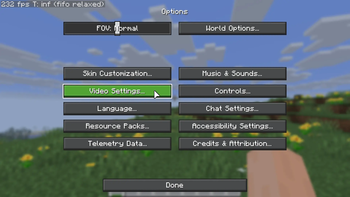 Options (Minecraft Settings)