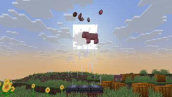 When Pigs Fly
