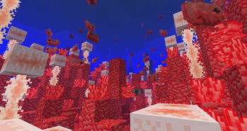 Coral Reef in Vain