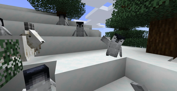 Penguins