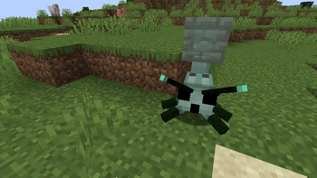 Maze Slime Beetle