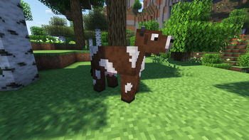 Cow 2