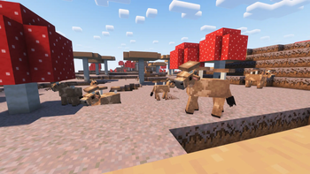 Brown mooshrooms!