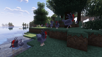 Cold chickens!