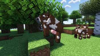 Cow!!!!