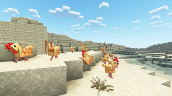 Warm chickens!!