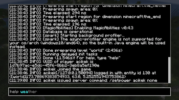 Server Console