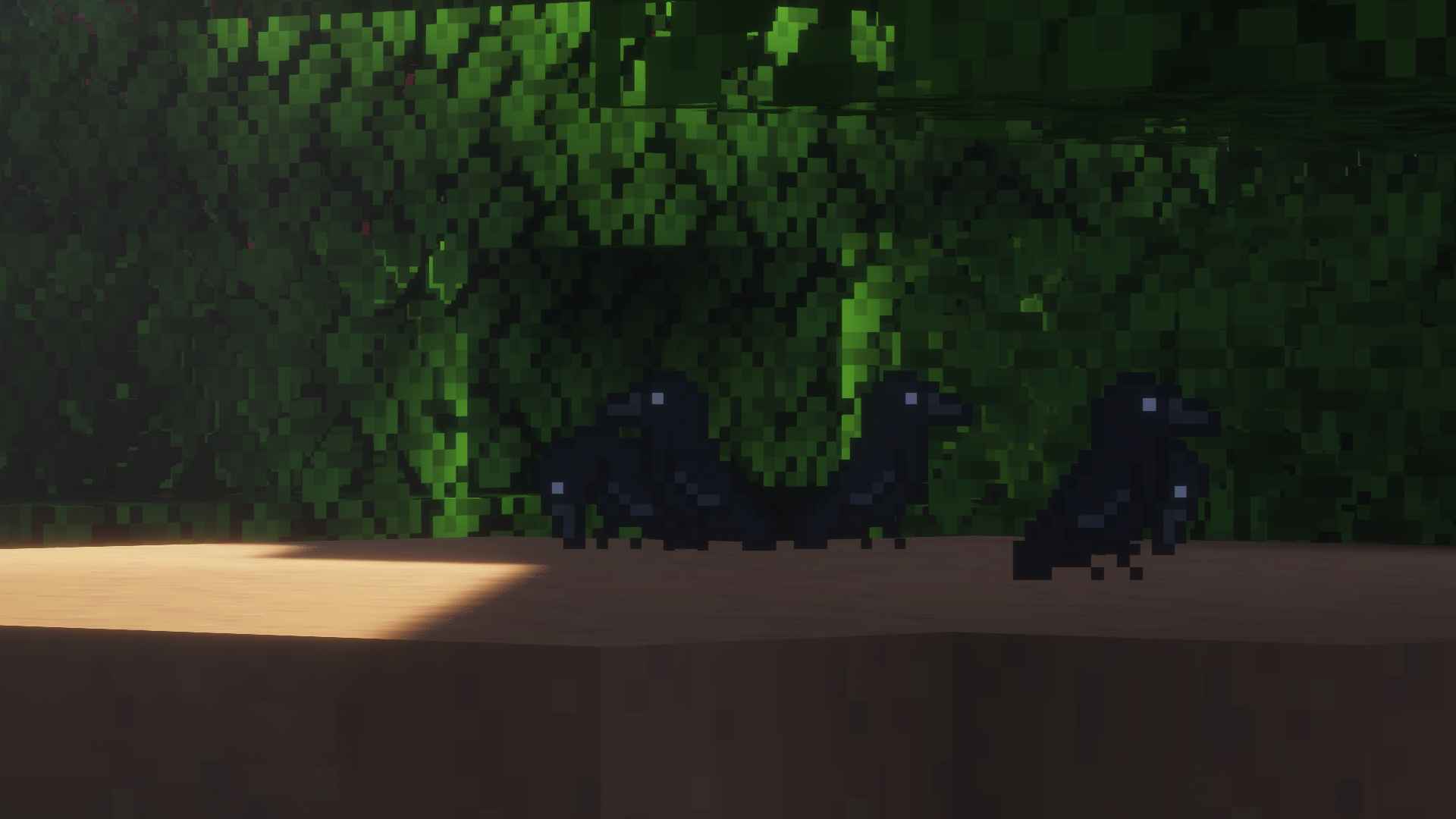 Crows perching
