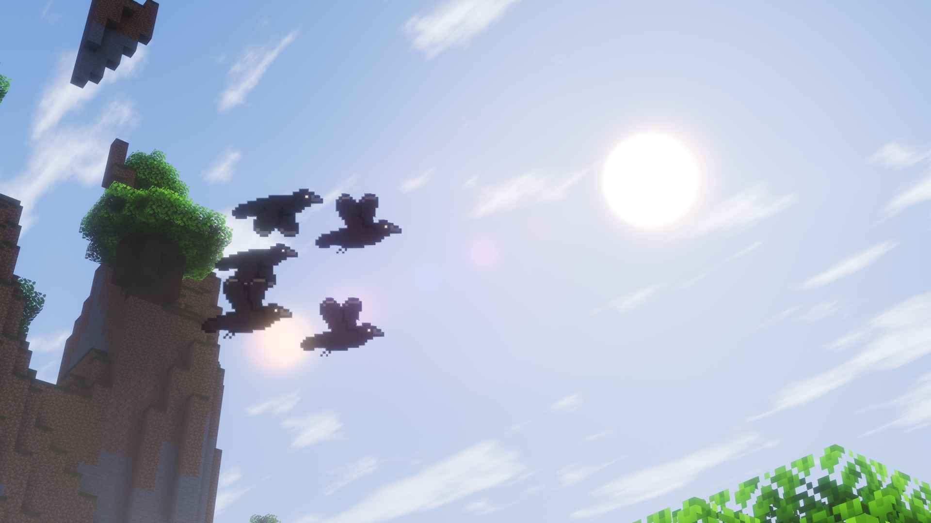 Cool Crows