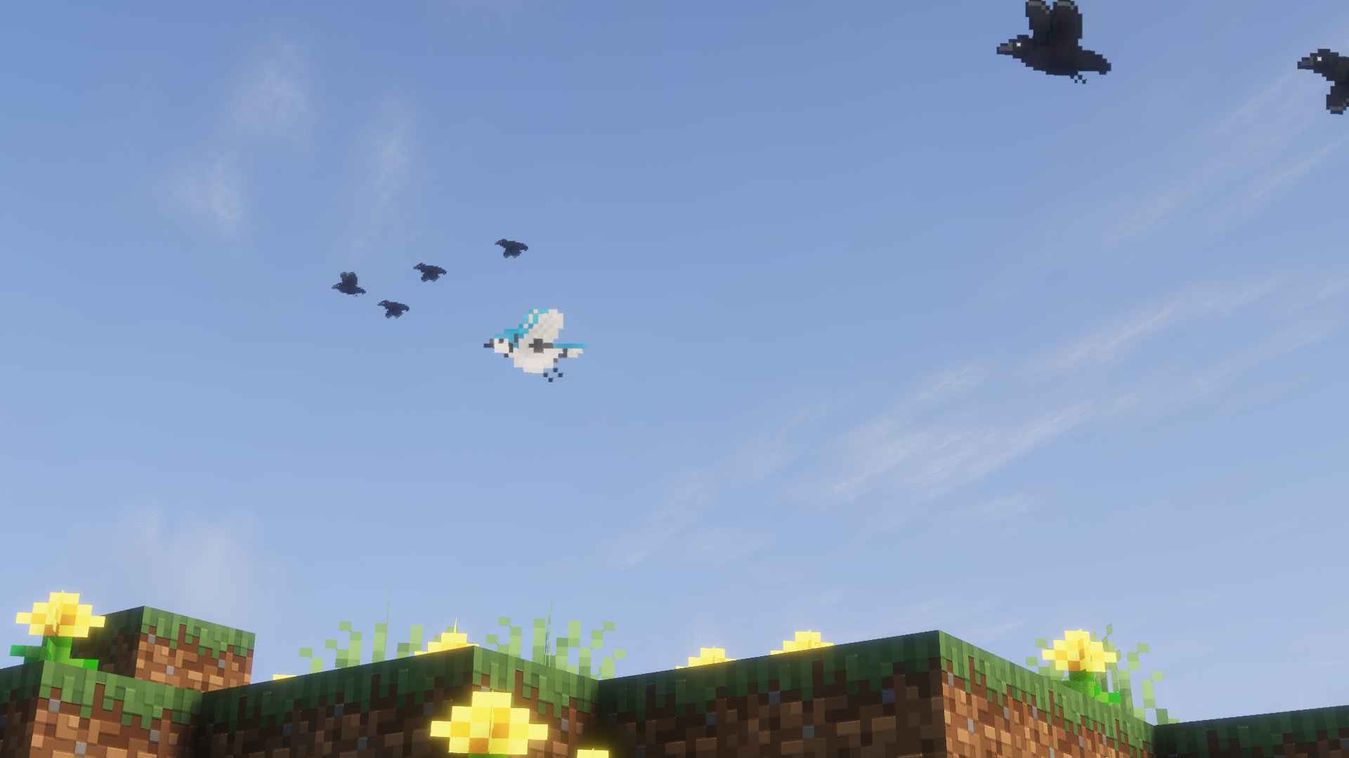 The definition of Atmospheric Fauna