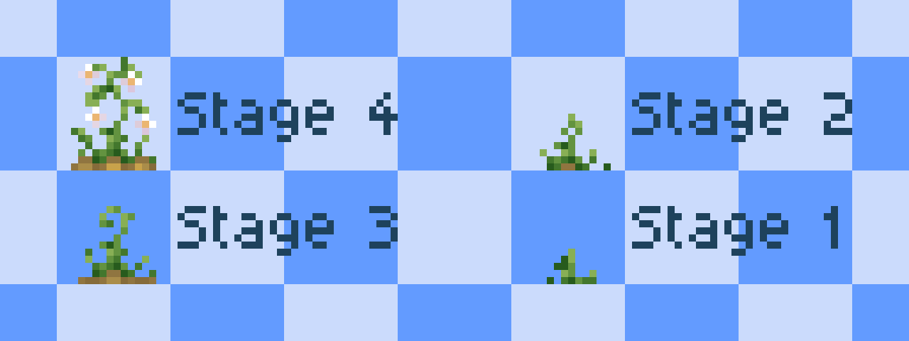 The staging of potatoes crop
