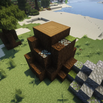 Spruce Tree Stump
