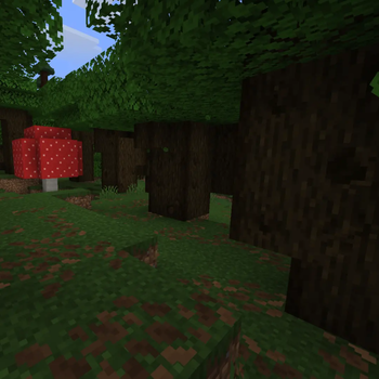 Dark Oak Forest