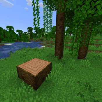 Jungle Tree Stump