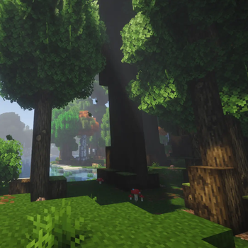 Trees At Forest Edge
