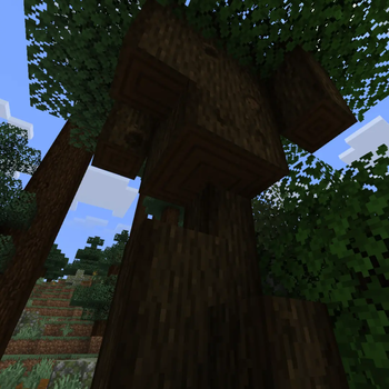 Chopping Dark Oak Tree