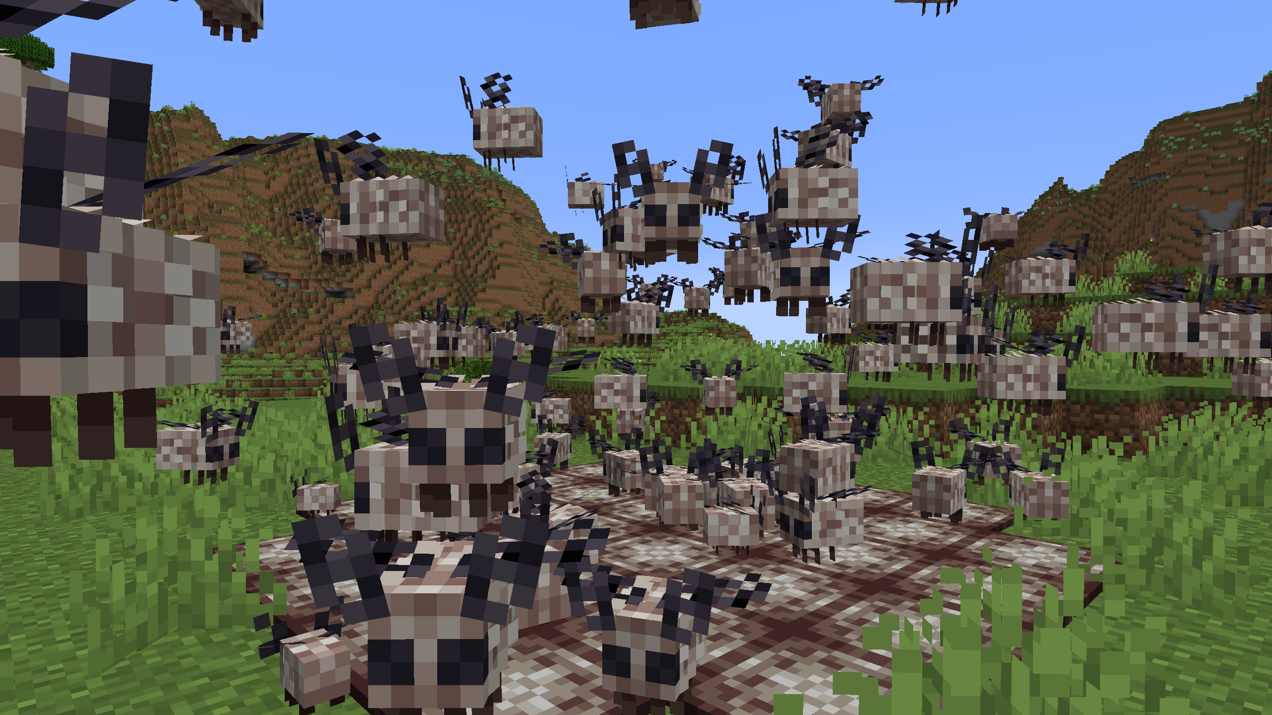 moth-gathering