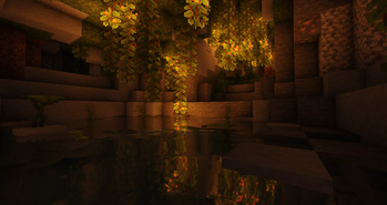 gallery-image