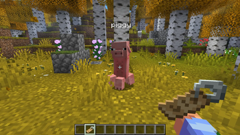 Nametag "piggy"