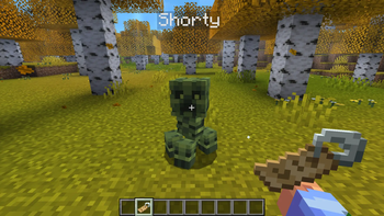 Nametag "shorty"