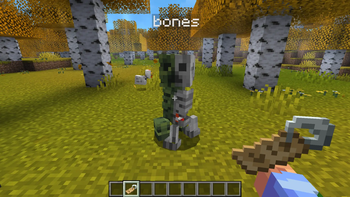 Nametag "bones"