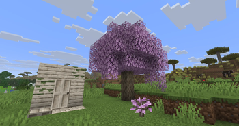 White Oak