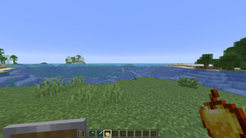 Shield and golden apple showcase