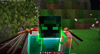 Gnom