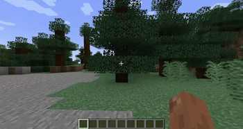 Even more animations!