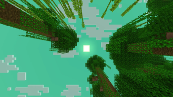 Jungle 