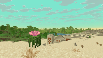 Desert